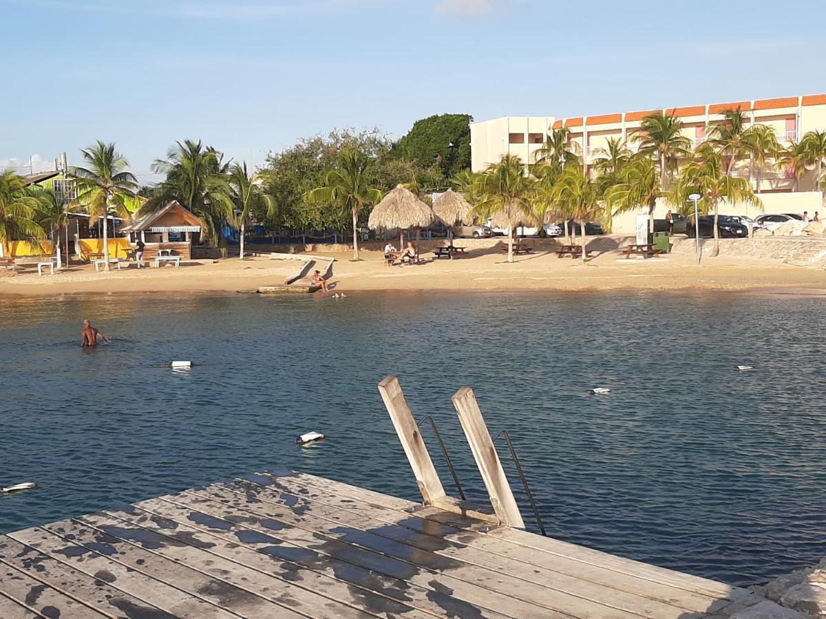 Homely Studio Apartment Curacao Willemstad Zewnętrze zdjęcie
